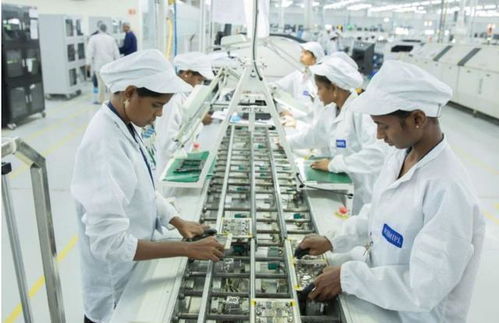 抱上蘋果大腿，印度媒體狂歡背后的中國依賴癥