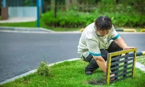 小區(qū)保潔服務規(guī)范 從基礎到優(yōu)化的全流程指南